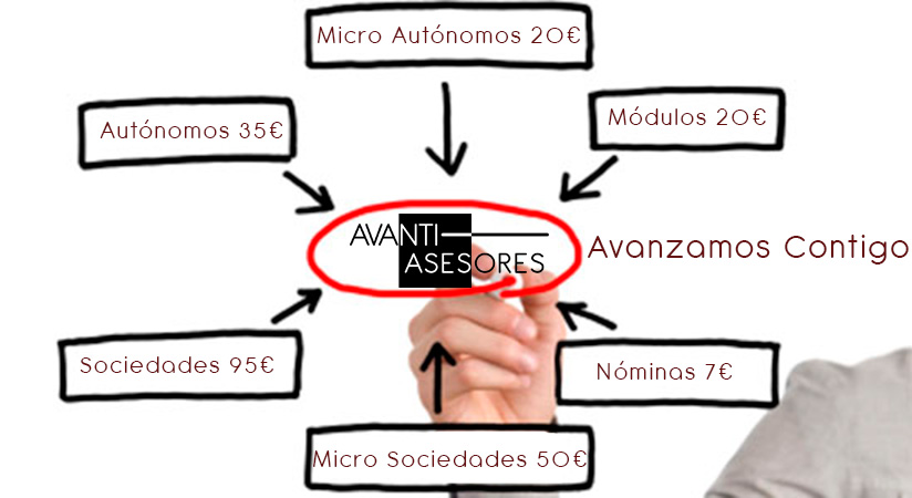 Imagen Banner Avanti Asesores Organigrama